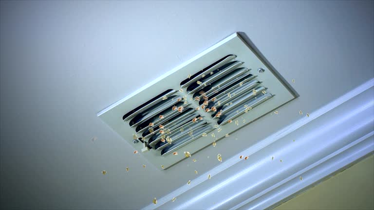 Best Dryer Vent Cleaning Services  in Columbus, TX