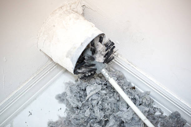 Best Air Vent Cleaning Services  in Columbus, TX